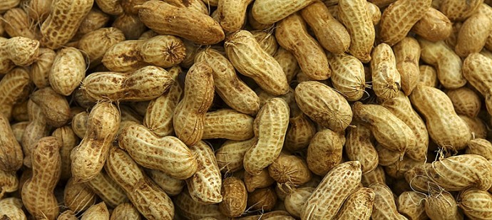 Peanuts