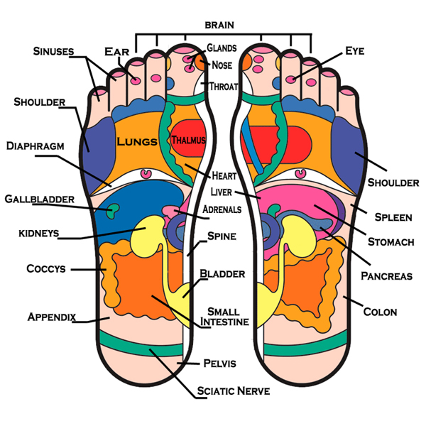 Foot-Reflexology2