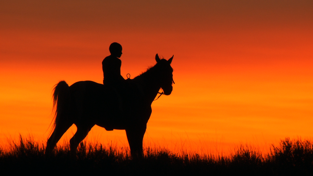 Reel Injun-horse copy